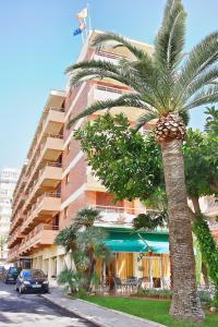 a palm tree in front of a building at Hotel Tramontana in Benicàssim