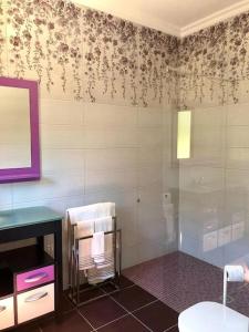 uma casa de banho com um lavatório e uma cabina de duche em vidro. em Quinta dos Sonhos em Aldeia dos Fernandes
