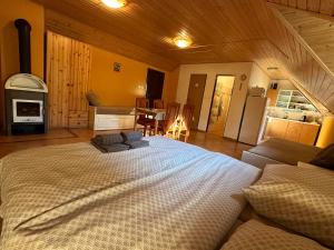 Imagen de la galería de Ubytování nad sklípkem, en Březí