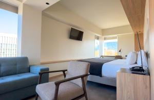 聖地亞哥的住宿－Almasur Providencia，一间卧室配有一张床、一张沙发和一台电视。