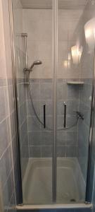 W łazience znajduje się prysznic ze szklanymi drzwiami. w obiekcie ORION w mieście Karpacz