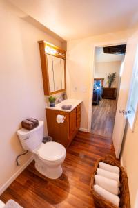 łazienka z toaletą i umywalką w obiekcie The Hideout at Hills Haven w mieście Wimberley