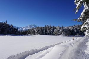 Obiekt Hotel Pension Tyrol zimą