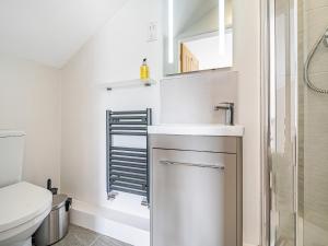 een badkamer met een wastafel en een toilet bij Beech - Woodland Cottages in Bowness-on-Windermere +20 foto's