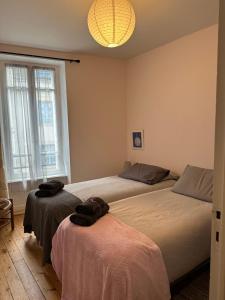 a bedroom with two beds and a chandelier at Comme à la Maison - Terrasse et Jardinet- in Douarnenez
