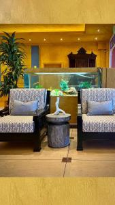 dois sofás e um aquário num quarto em Hotel Coral Beach em Roda