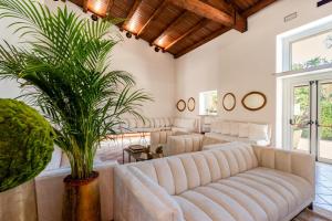 ein Wohnzimmer mit einem Sofa und einer Pflanze in der Unterkunft Caiammari Boutique Hotel & Spa in Syrakus