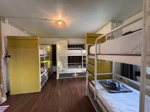 Zimmer mit 2 Etagenbetten und einer gelben Tür in der Unterkunft Chiza hostel Chiangmai in Chiang Mai