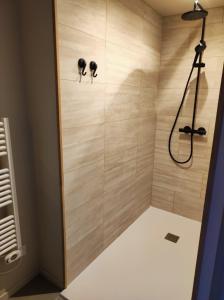 a shower in a bathroom with a shower at Gîte Ar Friz Vihan in Briec