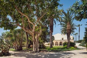 a row of palm trees in front of a house at Dimora Caiammari Luxury Hotel & Spa in Siracusa