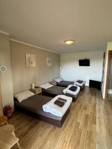 ノビ・ドブル・グダンスキにあるRanczo Rykiのベッド3台、薄型テレビが備わる客室です。