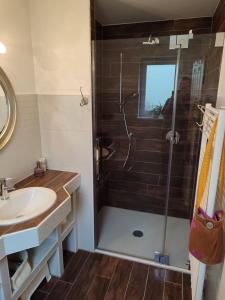 a bathroom with a shower and a sink at Suite Vorderrhön Anní in Unsleben