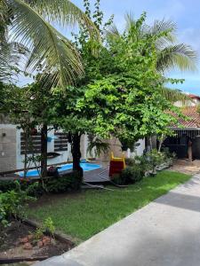 un patio con una piscina y una palmera en Nossa Casa de férias em Alter do Chão, en Alter do Chao
