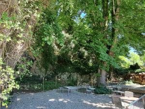 una mesa de picnic y bancos bajo un árbol en Gasthof Bären, en Schinznach Dorf