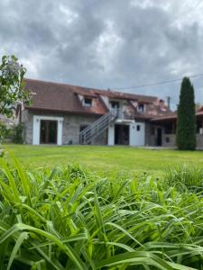 una casa con un seto verde delante de ella en Casa de Piatra en Porumbacu de Sus