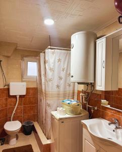 Baño pequeño con aseo y lavamanos en Apartman Olivera en Žabljak
