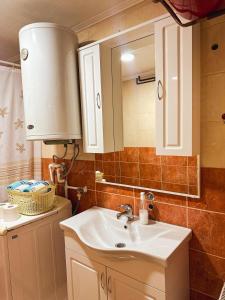 a bathroom with a sink and a mirror at Apartman Olivera in Žabljak