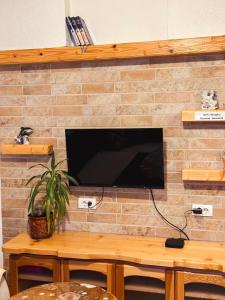 TV a/nebo společenská místnost v ubytování Apartman Olivera