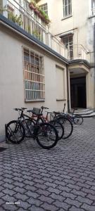 Jízda na kole v ubytování PALAZZO NOVECENTO Centro Storico nebo okolí