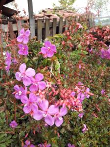 Fotografie z fotogalerie ubytování Sol y Luna Glamping v destinaci Málaga