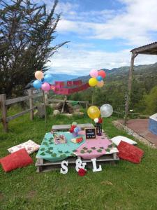 una mesa de picnic con globos en la hierba en Sol y Luna Glamping, en Málaga