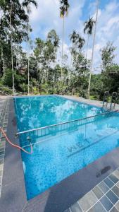 a large swimming pool with blue water and palm trees at Wetlands Wayanad Resort with Natural Waterfalls in Padinjarathara