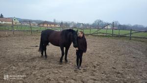 a woman standing next to a black horse at Centr00m Apartman in Dunaföldvár +3 photos