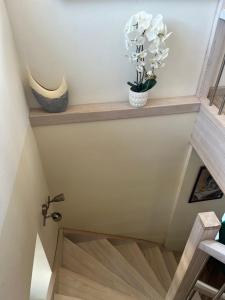 Foto dalla galleria di Guest house Kajaki-Ragaciems a Ragaciems Altre 50 foto