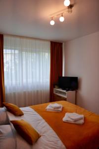 a bedroom with a large bed and a television at Apartament Aleea Minerva in Braşov