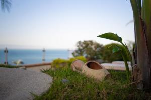 a shoe sitting in the grass next to a plant at Villa Zagara Garden Spectacular Sea View in Taormina in Taormina