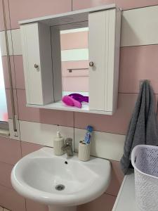 een badkamer met een wastafel en een spiegel bij Ridi's Comfort Apartment 2 in Shkodër