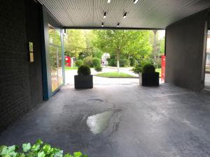 Aed väljaspool majutusasutust Shesh Hostel