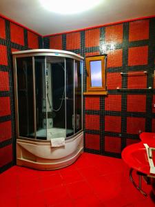 a bathroom with a shower and a red floor at Silver in Hunedoara