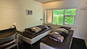 a room with two beds and a window at Gudum Park in Lemvig