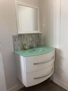een badkamer met een wastafel en een medicijnkastje bij Gîte ferme Saint Gauthier 