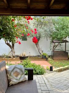 Zahrada ubytování Betul Guest House