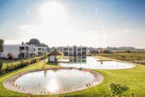 a large pond in a field with buildings in the background at Sonnenchalets in Zsira