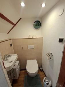 małą łazienkę z toaletą i umywalką w obiekcie Bopparder Schmuckhäusschen w mieście Boppard