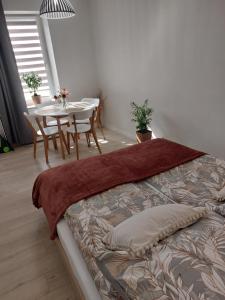 Posteľ alebo postele v izbe v ubytovaní Apartament Królewiecka 45a Centrum Weekendy parter blisko Amfiteatr