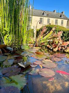 a pond with lily pads in front of a cactus at Chambres d'Hôtes Manoir Du Chêne in Nonant