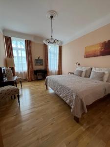 瑪麗亞溫泉的住宿－Wespartment Marienbad - City meets Nature，一间大卧室,配有一张大床和一张书桌