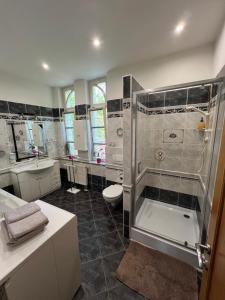 瑪麗亞溫泉的住宿－Wespartment Marienbad - City meets Nature，带淋浴、卫生间和盥洗盆的浴室