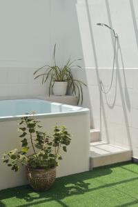 a bathroom with potted plants and a bath tub at HBS Hotel in Manizales