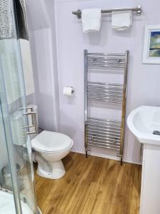 a bathroom with a toilet and a sink and a shower at Portrush by the Sea - 5 Dunluce Park in Portrush