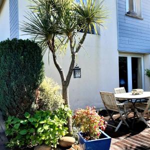 un patio con 2 palmeras, mesa y sillas en Chambre et jardin en Bayonne