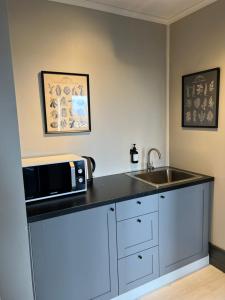 a kitchen counter with a microwave and a sink at The Greyhouse "Small Apartment" in Höfn