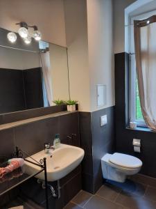 ein Badezimmer mit einem Waschbecken, einem WC und einem Spiegel in der Unterkunft City Apartments Magdeburg in Magdeburg