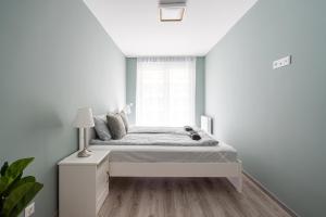 Apartment Downtown Lónyay 38 1093 Budapest, L??nyay utca 38 kép - 2