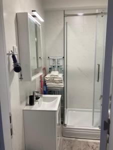 a white bathroom with a shower and a sink at Sears Residence Apartments in Tivat +9 photos