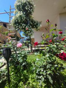 un jardín con flores rojas y blancas y una valla en GuestHouse ED&ER near airport, en Geghanist